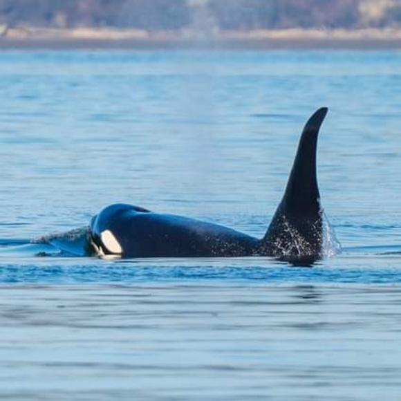 Meet your Posher, Jenna - Picture 10 of 11